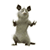 mouse :prmouse: